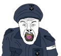 a old version of policejak