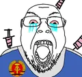 Injecting the soy