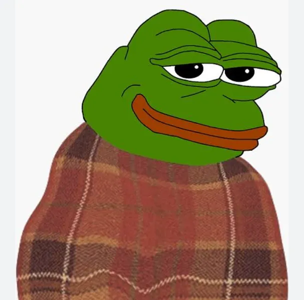 File:Pepecomfy.png
