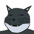 Massmeowjak