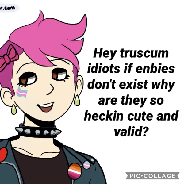 File:Pink-Haired Enbie truscum idiots.jpg