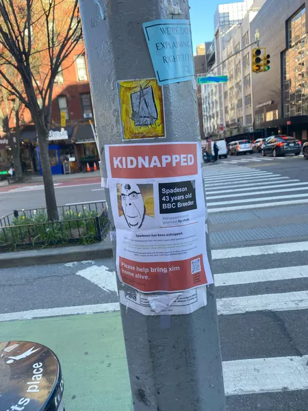 File:NewYorkReality1.jpg