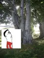 Thumbnail for version as of 14:51, 26 August 2024