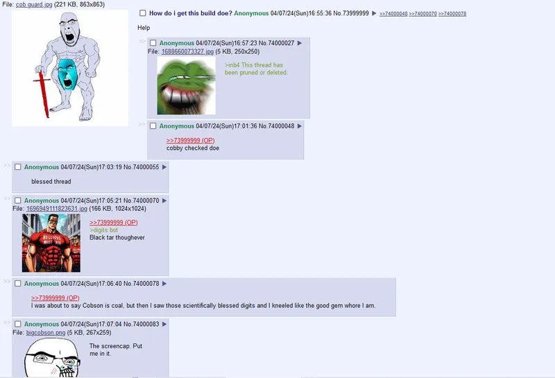 File:Fit get 73999999.PNG