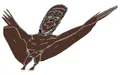 Thumbnail for version as of 15:29, 23 January 2024