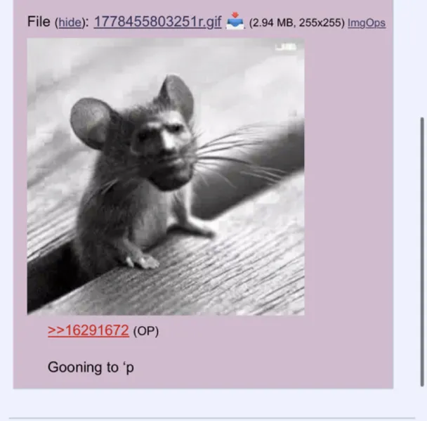 File:OGD mouse.png