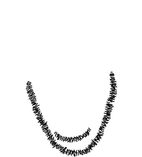 File:Cobson beard.png
